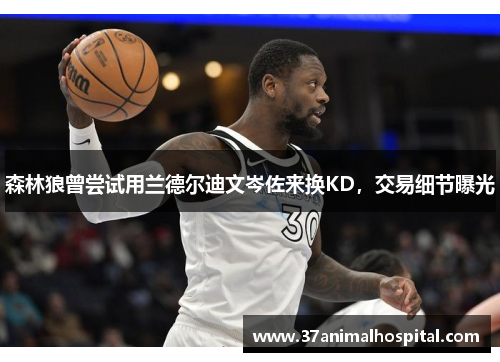 森林狼曾尝试用兰德尔迪文岑佐来换KD，交易细节曝光