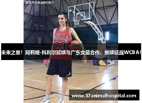未来之星！阿莉娅-科利尔延续与广东女篮合作，继续征战WCBA！