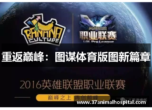 重返巅峰：图谋体育版图新篇章